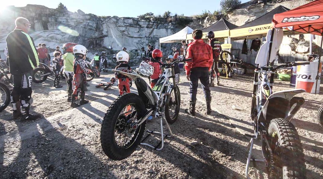 cursos de trial